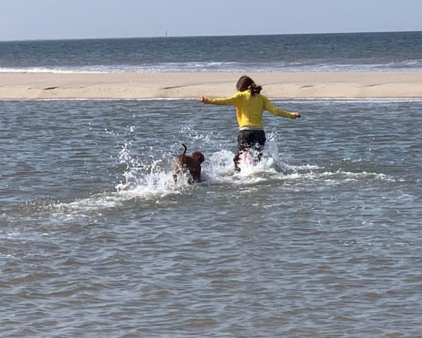 Otis-kennel-puppies-te-koop-in-water